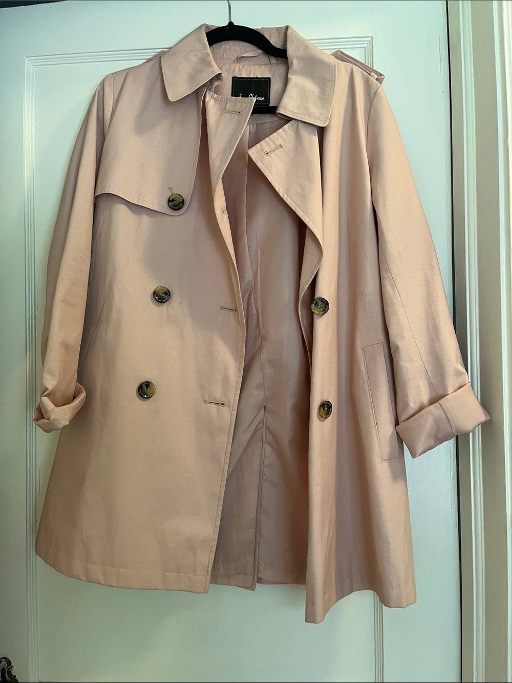 Sam Edelman Blush Pink Double-Breasted Trench Coat